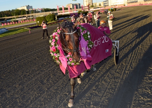 Propulsion efter segern i Elitloppet i söndags. Foto av Lars Jakobsson TR Bild